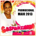 Gasparzinho - Ao Vivo - Promocional Maio 2013